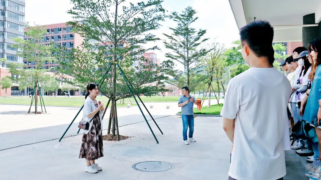 说明: 图片